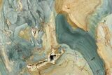 Freestanding Gary Green Jasper (Larsonite) Bog Wood - Oregon #377948-1